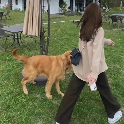 告别前的30分钟